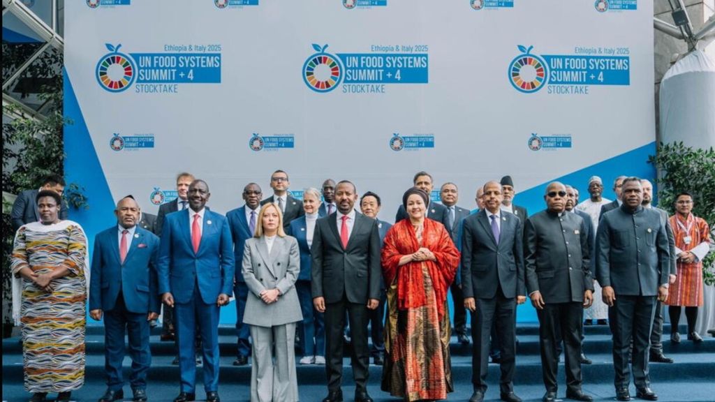 Voix africaines du sommet de l'ONU sur la sécurité alimentaire en Ethiopie