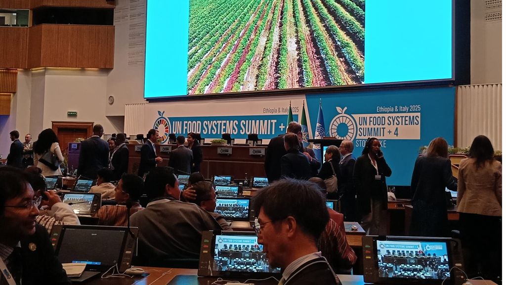 Voix africaines du sommet de l'ONU sur la sécurité alimentaire en Ethiopie