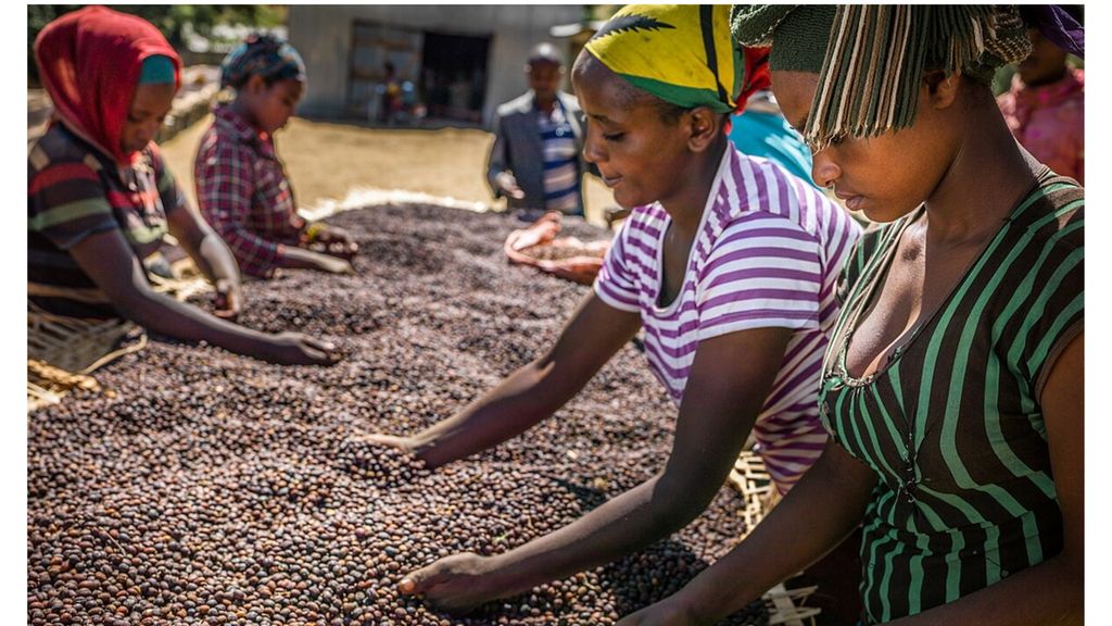 Italie-Éthiopie: selon l’ambassadrice Demitu, l'alliance est de plus en plus solide