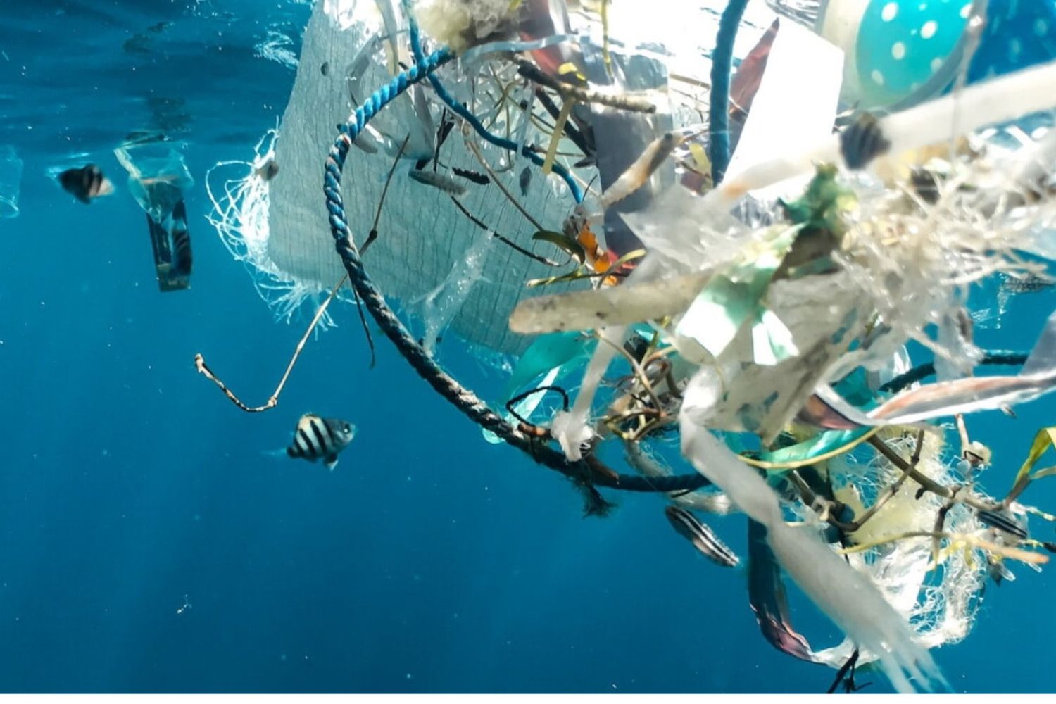 L'Africa chiede impegni più forti contro l'inquinamento da plastica