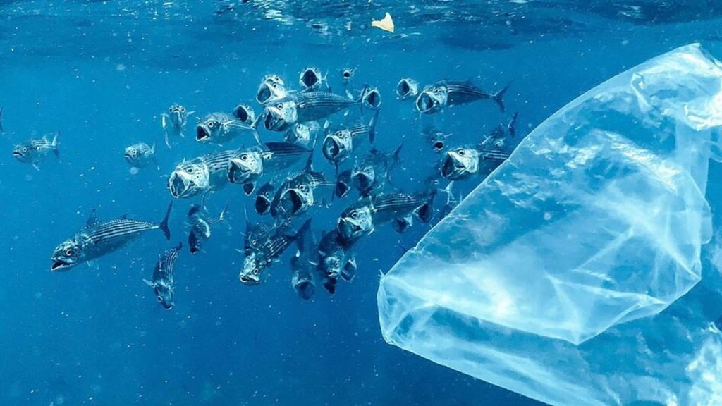 L'Africa chiede impegni più forti contro l'inquinamento da plastica