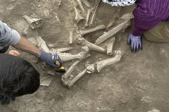 scoperto anatolia&nbsp; cerchio bambini 3mila anni fa