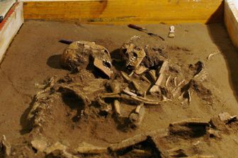 Ossa umane, scheletro, archeologi ritrovamento ossa umane, ricerca