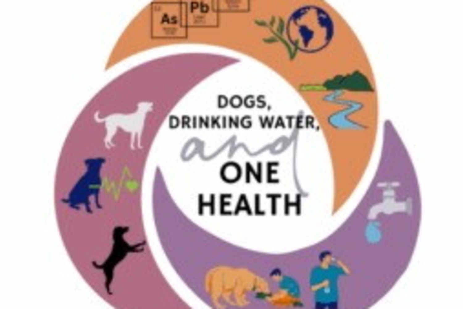 Acqua contaminata nei pozzi privati degli Usa: a rischio la salute dei cani