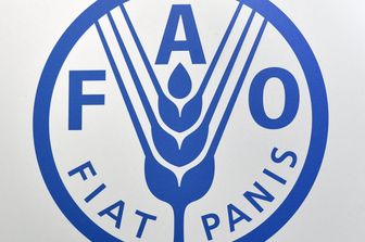 Fao