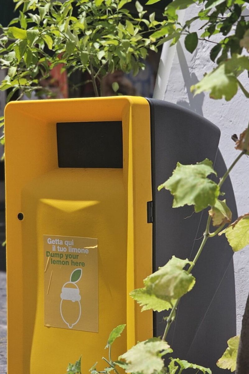 Lemon bins ad Amalfi