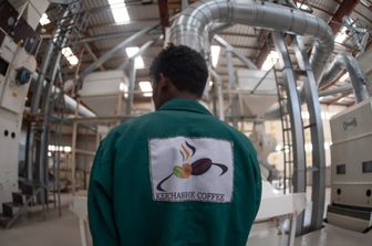 L’Afrique cherche un commerce sans dollars : le cas ethiopien