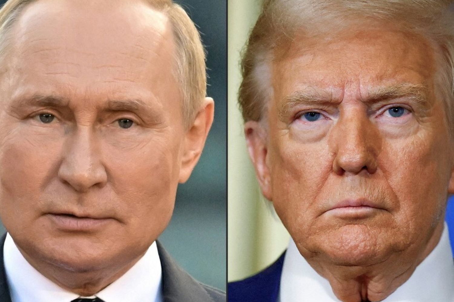 E' vero che Trump vuole offrire a Putin le terre rare dell'Alaska?