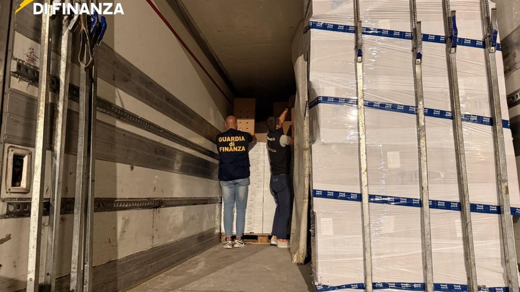 Cardellini e fringuelli impacchettati e congelati. Così la Finanza li ha salvati a un passo dalla morte