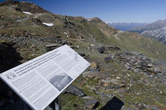 Alto Adige