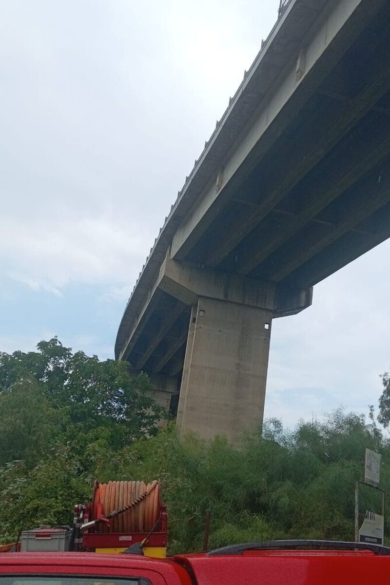 Cane lanciato dal viadotto, salvo per miracolo