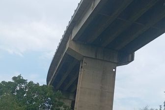 Cane lanciato dal viadotto, salvo per miracolo