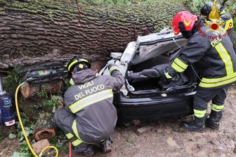 Quercia si abbatte su un'auto, un morto e 3 feriti