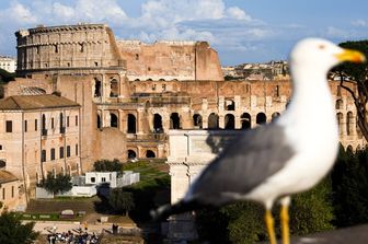 'Boom' di turisti nei musei statali nel ponte di Ferragosto. La classifica dei più visitati
