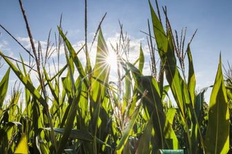 Previsioni del tempo