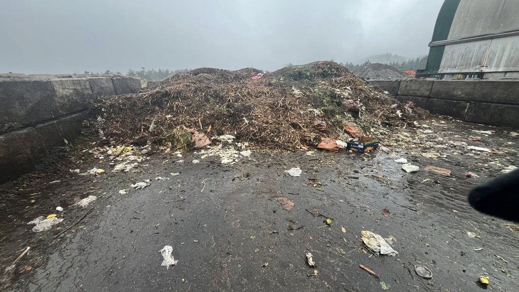 Ritrova le fedi nunziali in una discarica