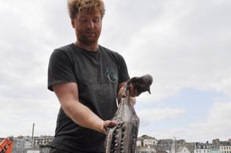 Pescatore britannico