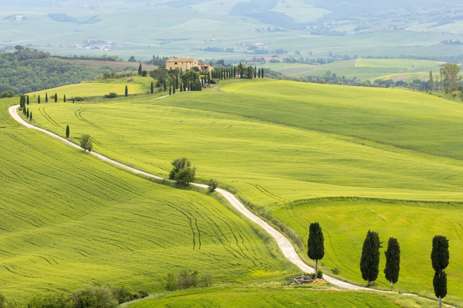 Perchè fare festa in un agriturismo è diventato un must
