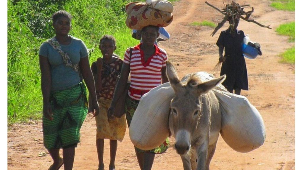 Rendez-vous à Maputo pour un business forum italo-mozambicain