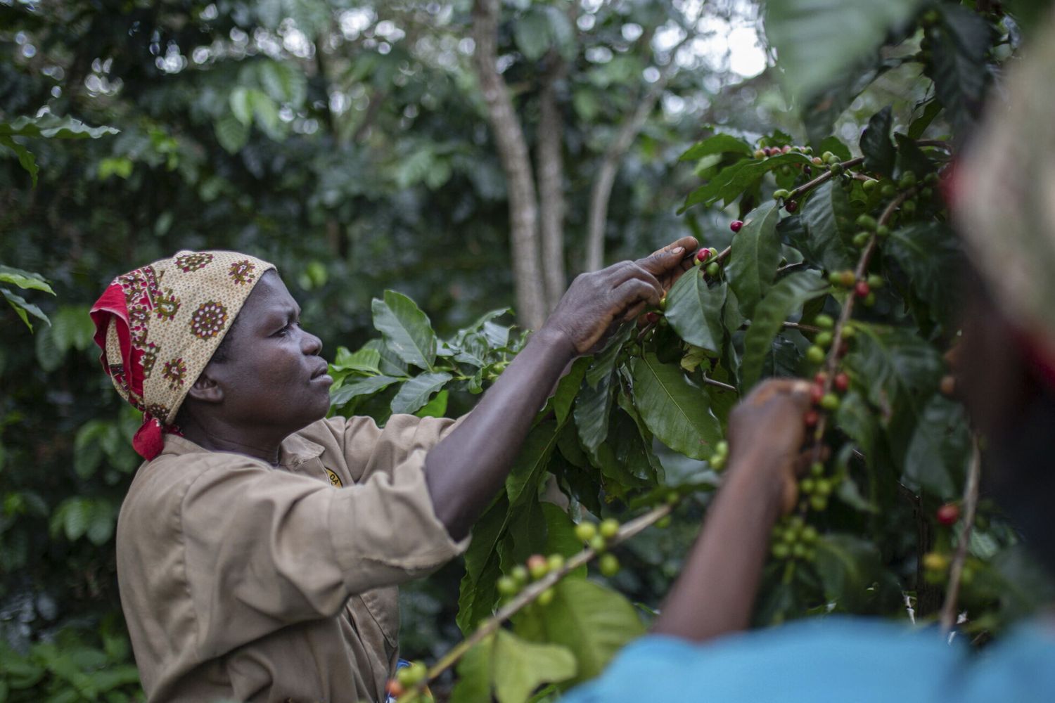 Rendez-vous à Maputo pour un business forum italo-mozambicain