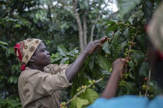 Rendez-vous à Maputo pour un business forum italo-mozambicain