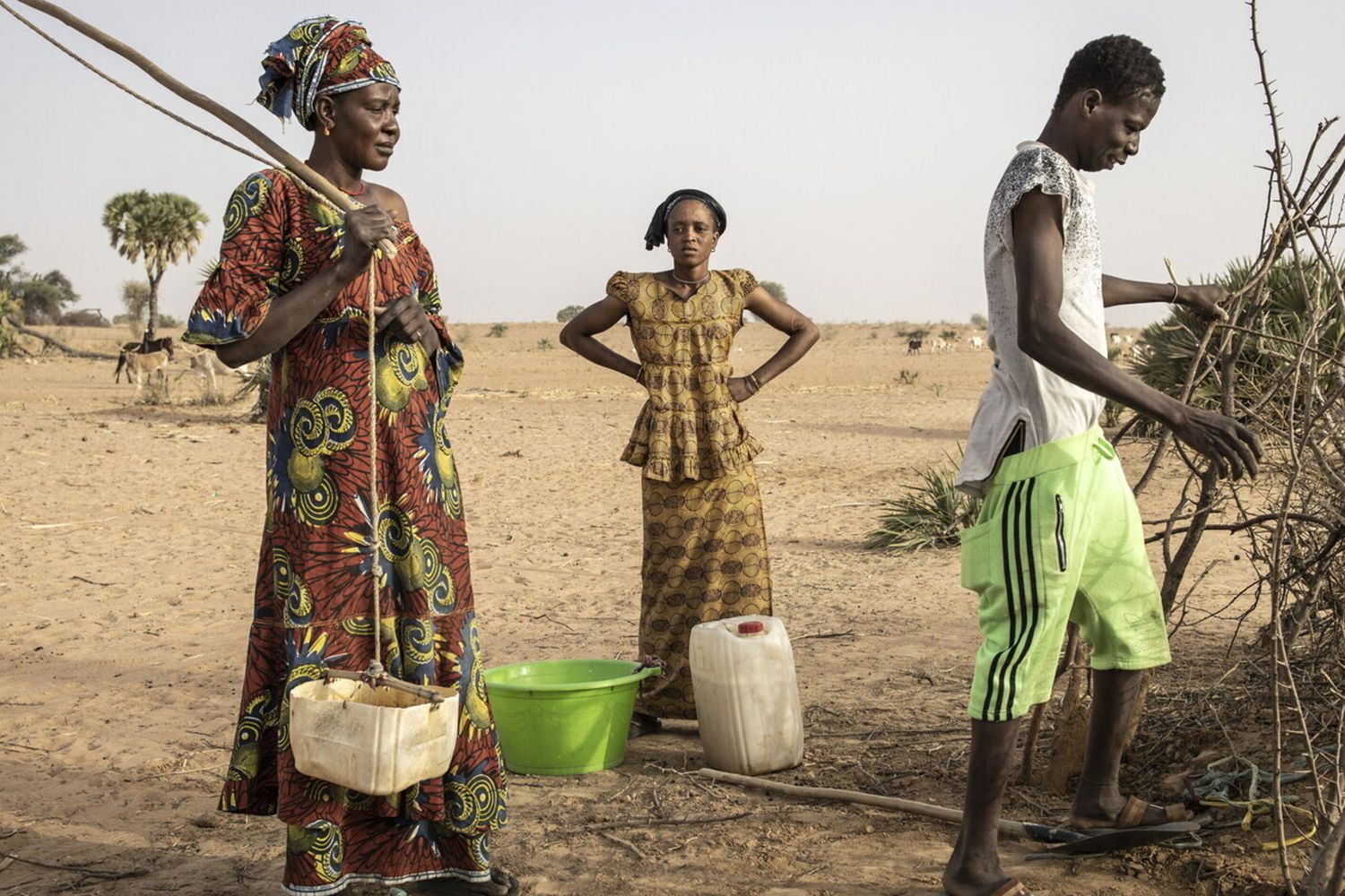 Il Senegal punta alla sicurezza alimentare e rafforza la cooperazione con l'Italia