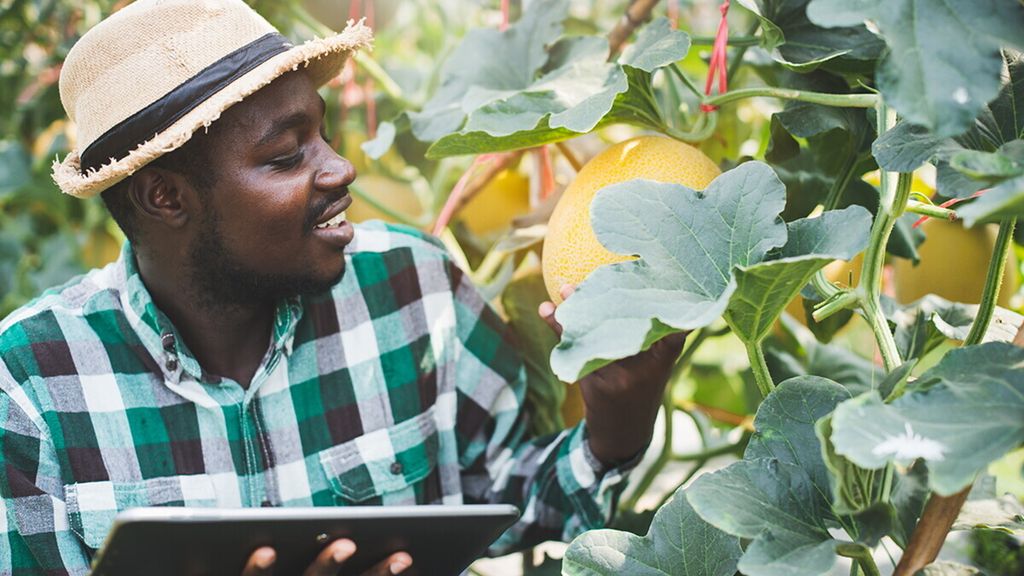 Il Senegal punta alla sicurezza alimentare e rafforza la cooperazione con l'Italia