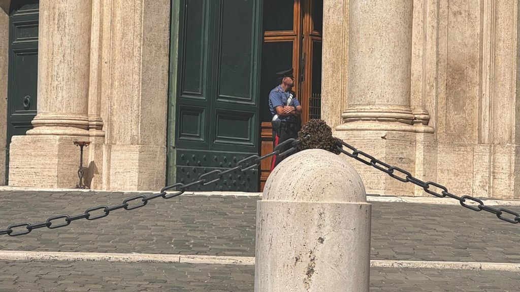 Sciame d'api su un pilone di marmo. Paura a Montecitorio