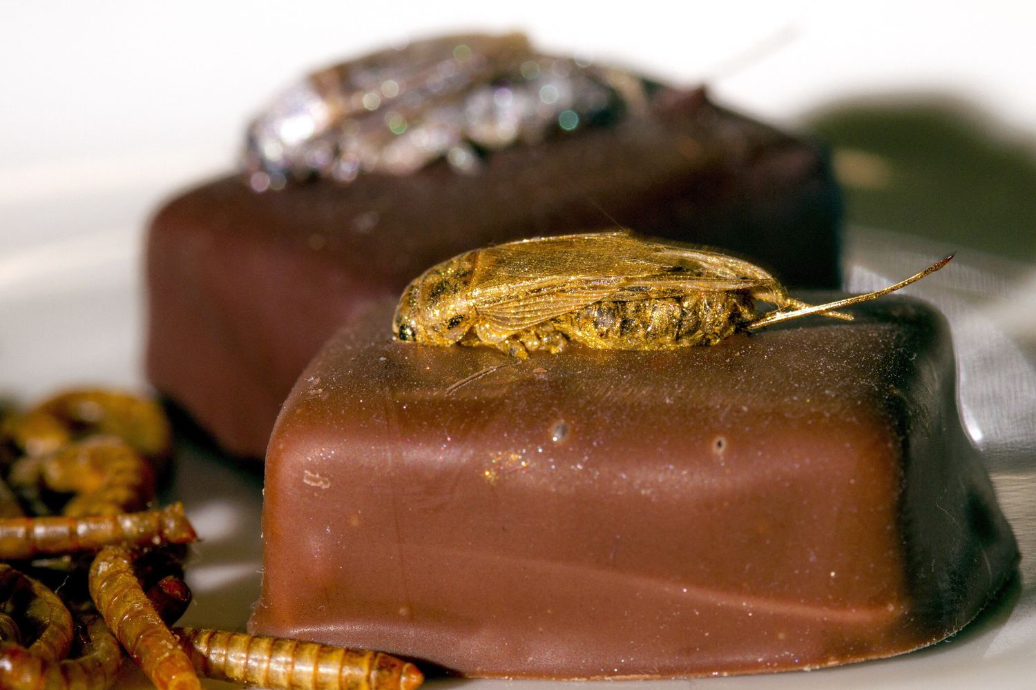 Ruba 12,5 tonnellate di cioccolatini, camionista sotto processo in Spagna