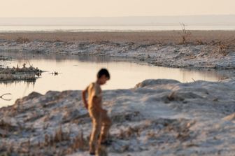 Cambiamenti climatici
