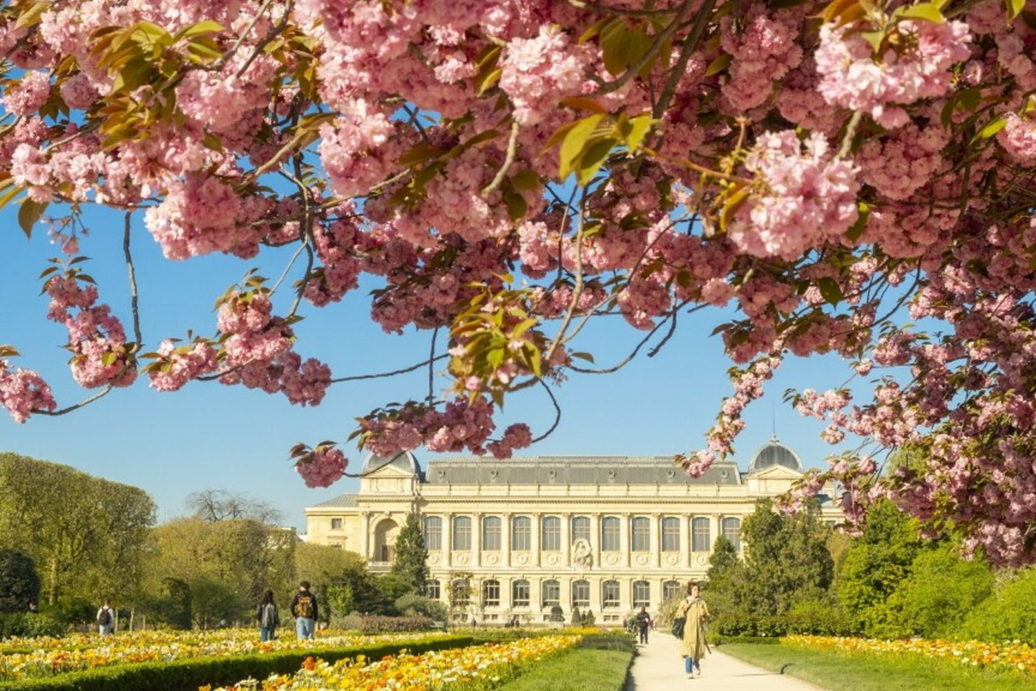 Museo di Storia Naturale di Parigi