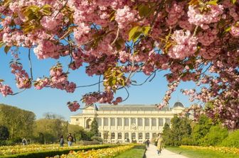 Museo di Storia Naturale di Parigi