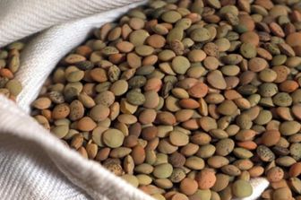 lenticchie (agf)