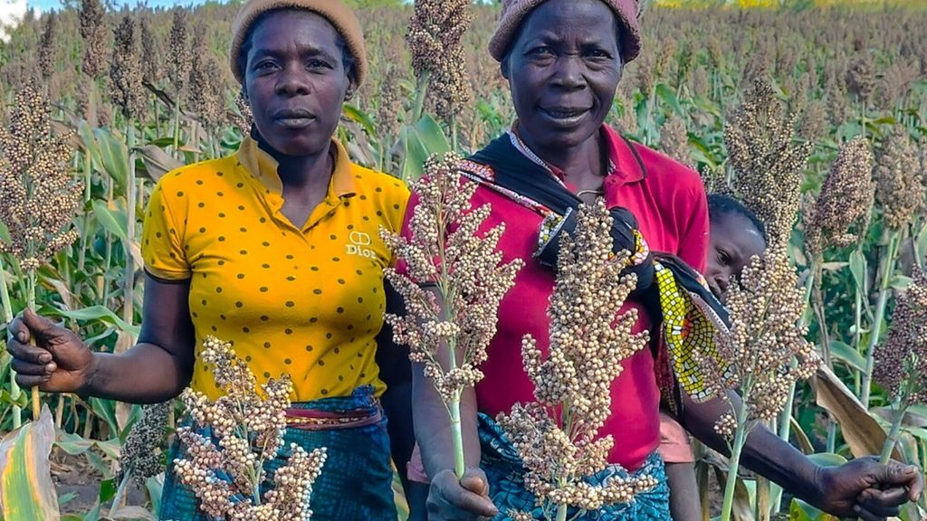 L'agroalimentare al centro dei progetti di sviluppo dell'Italia in Mozambico