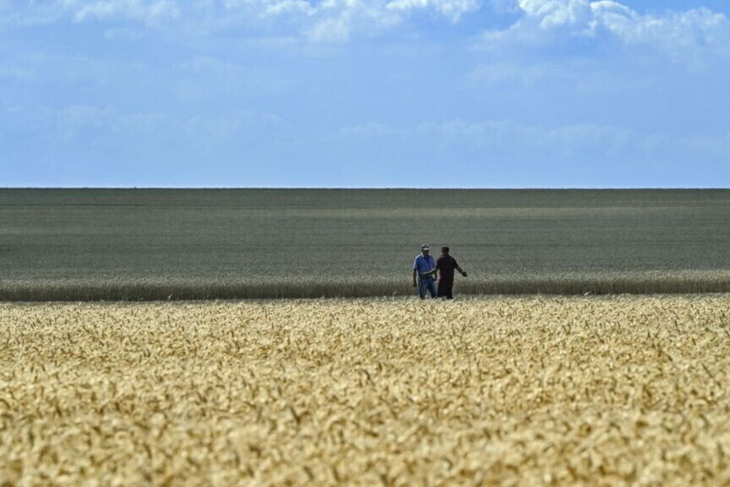 Accord Bonifiche Ferraresi-Congo pour un projet développement agricole durable