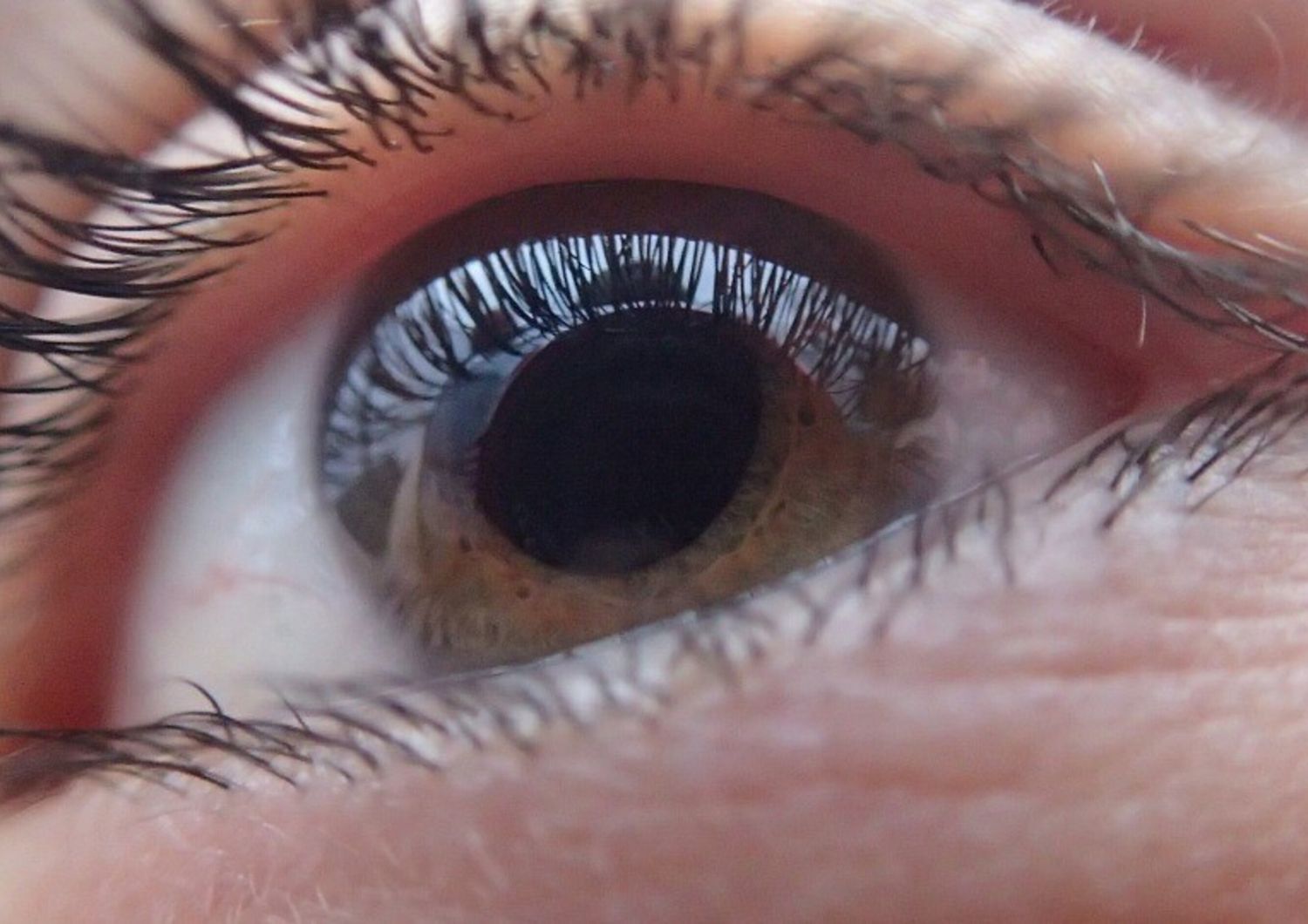 Trapianto di cornea, quasi 8.500 pazienti hanno ritrovato la vista nell'ultimo anno