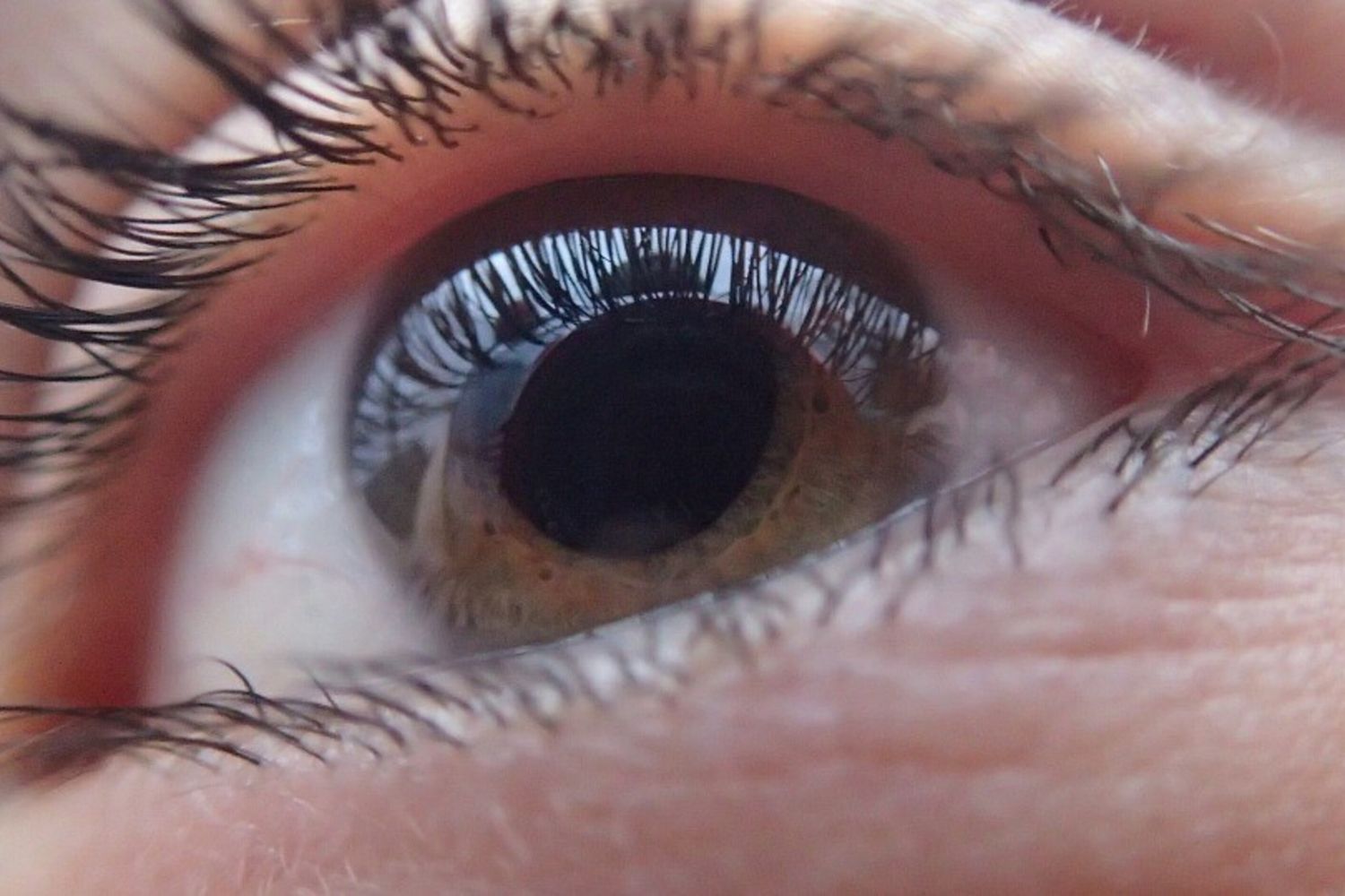 Trapianto di cornea, quasi 8.500 pazienti hanno ritrovato la vista nell'ultimo anno