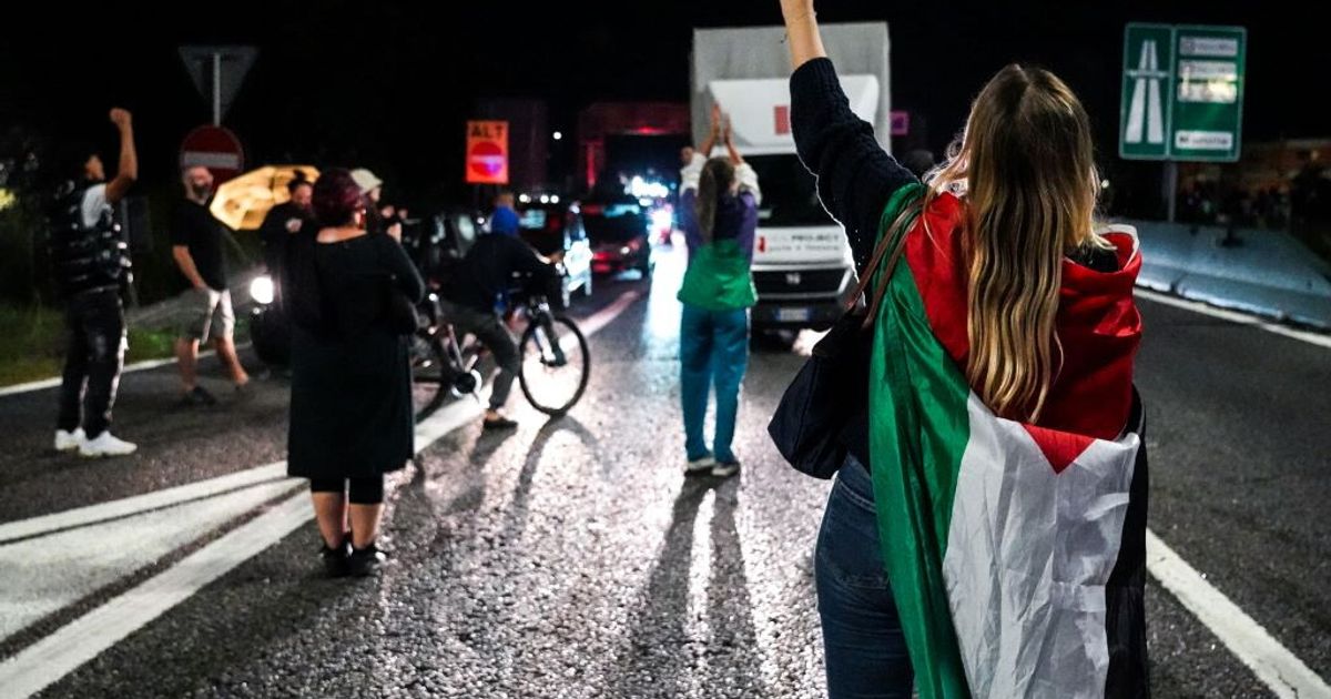 manifestazione pro pal a torino scontri con la polizia a caselle