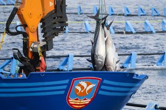 L’Italie et la Libye travaillent à un accord sur les exportations de produits de la pêche vers les marchés européens