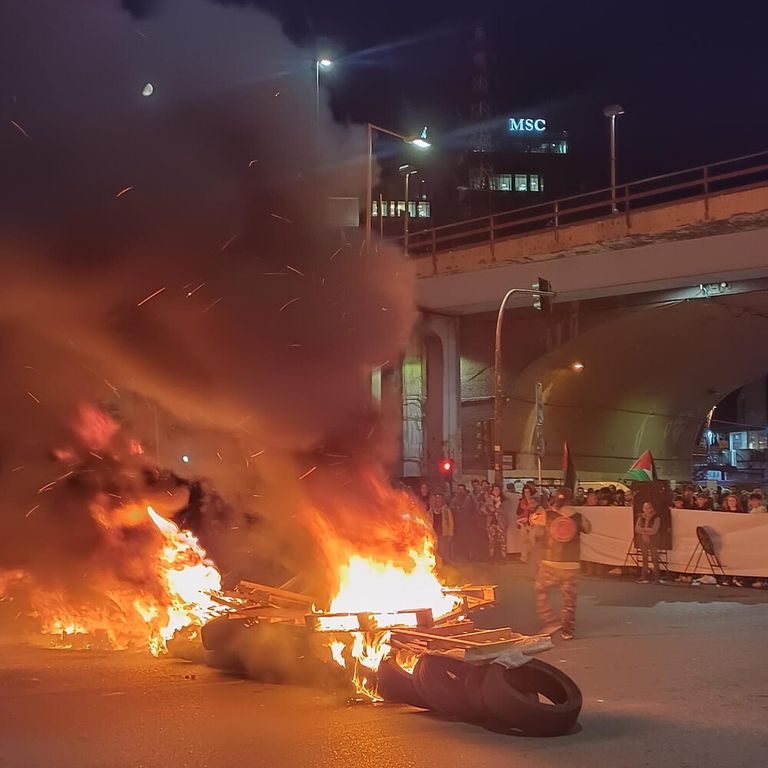 proteste Pro Pal Genova