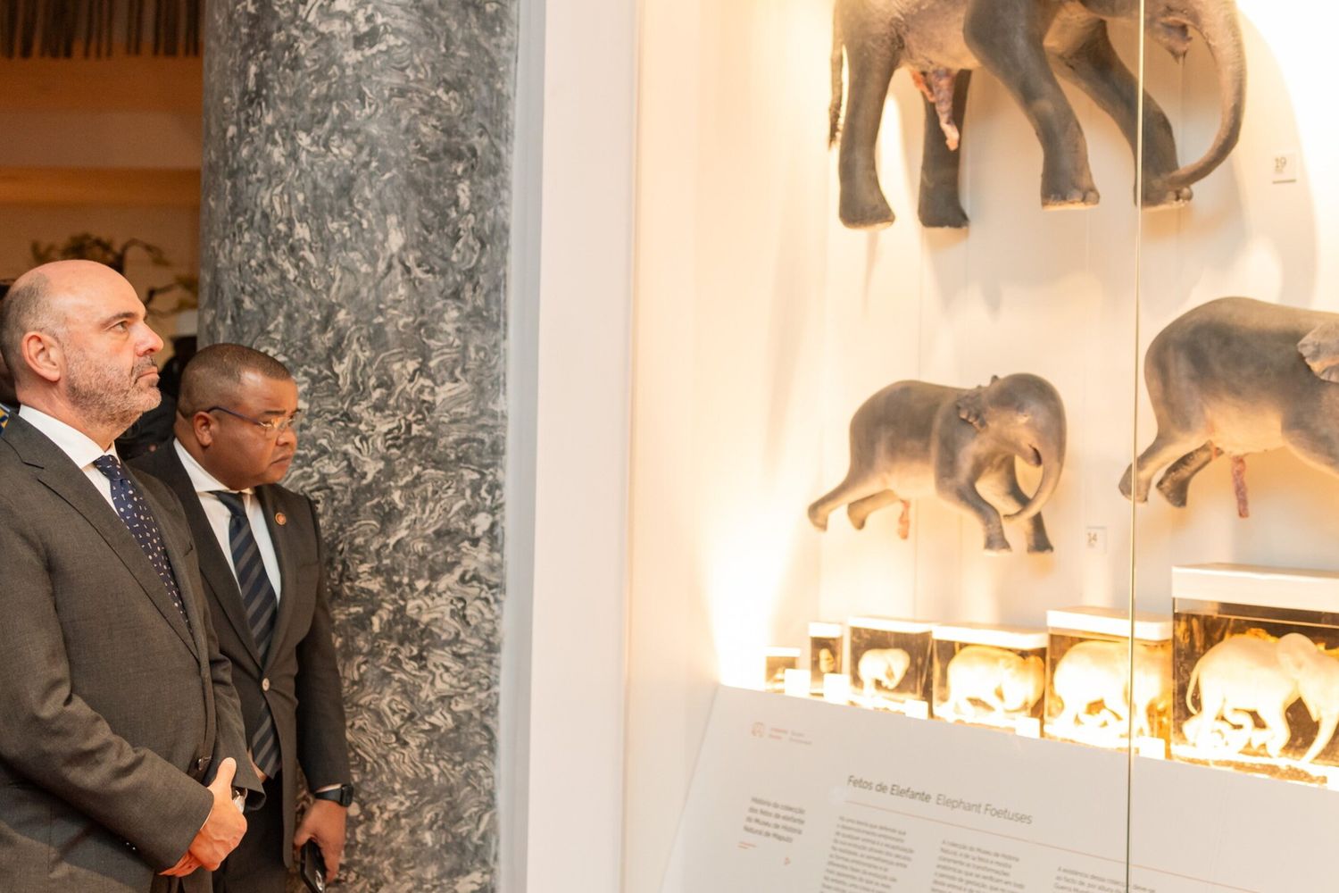 In Mozambico ha riaperto il Museo di Storia Naturale di Maputo