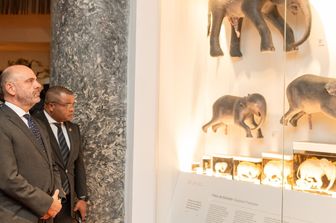 Au Mozambique le Musée d'histoire naturelle de Maputo a réouvert
