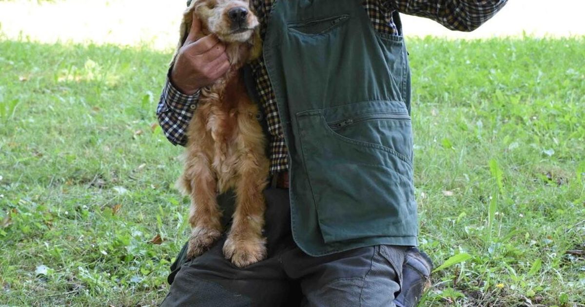 leo il cane cieco campione nella ricerca dei tartufi vince il premio cinema