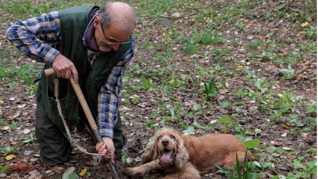 Leo cane cieco cercatore di tartufi