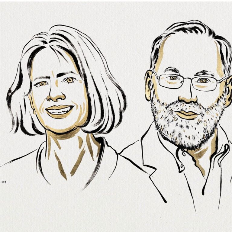 I premi Nobel per la Medicina Brunkow, Ramsdell e Sakaguchi