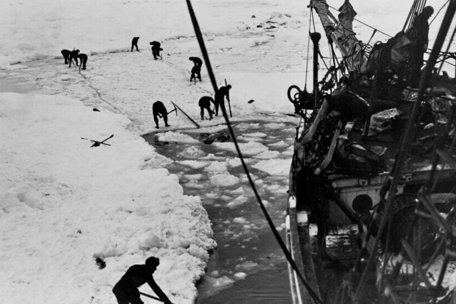 L'affondamento dell'Endurance, Shackleton sapeva delle carenze della nave ma salpò lo stesso