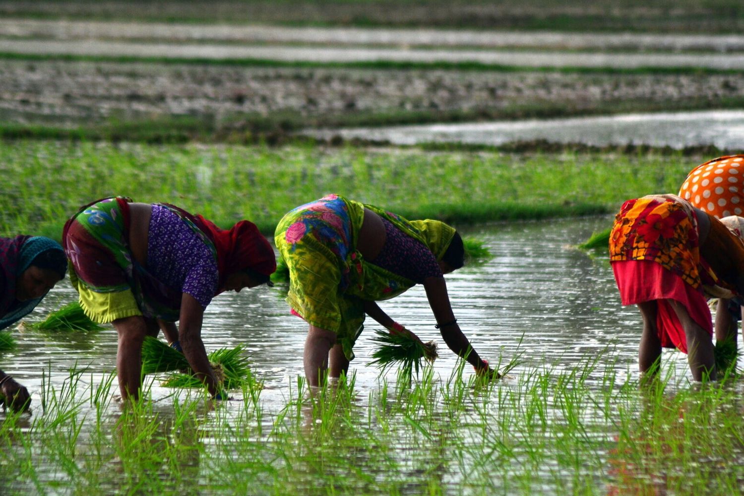 Dal Mozambico all'Eritrea, l'Italia rafforza il suo impegno per l'Africa