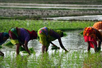 Du Mozambique à l'Érythrée, l’Italie accroît son engagement en Afrique