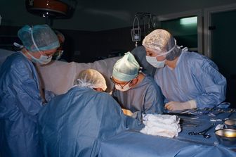 Fegato trapiantato da un maiale, paziente sopravvive 171 giorni