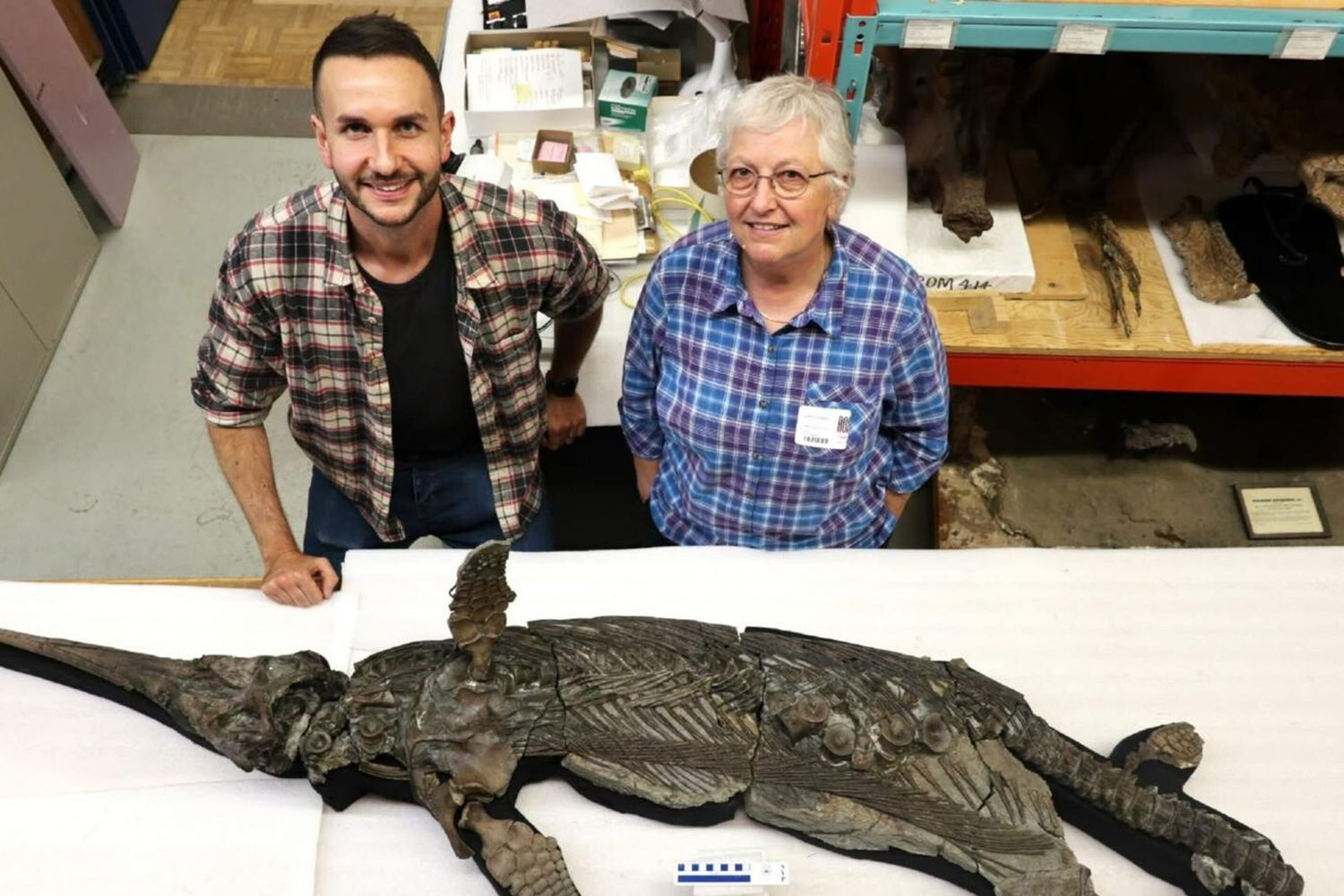 Scoperto il "drago spada” del Dorset